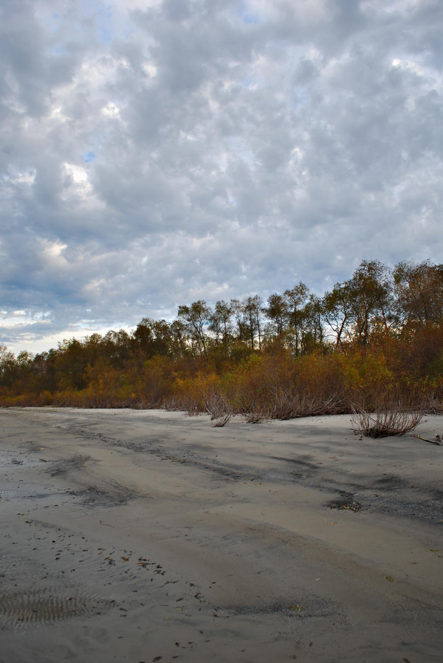 Autumn Beach 2