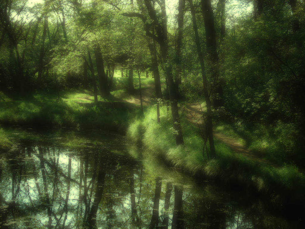 The Fairy Woods 2 by midnightstouchSTOCK