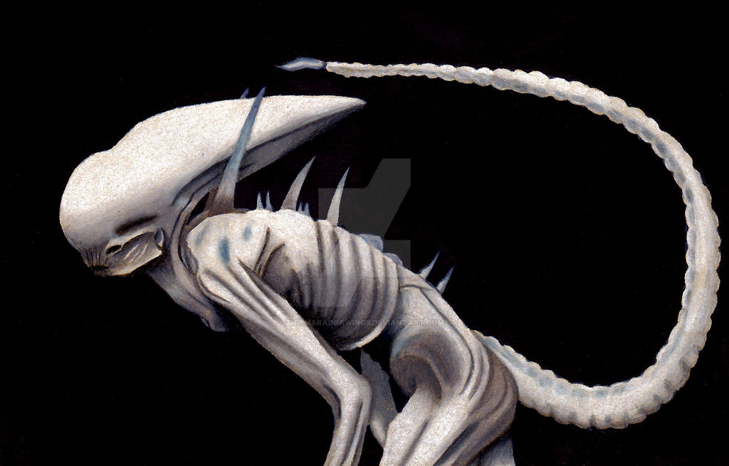Alien Neomorph by TamaraDrawings on DeviantArt