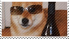 the cool mom shibe