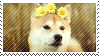 the majestic shibe by babykttn