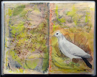 Bird in Book