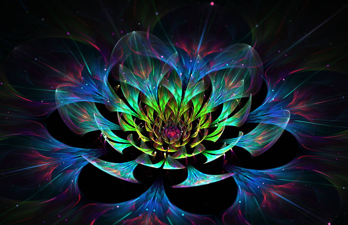 Oracle's flower by Dead-Levaithan Oracle's flower by Dead-Levaithan
