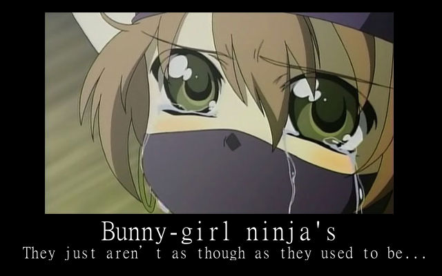 Bunny-girl ninja Demodivational poster