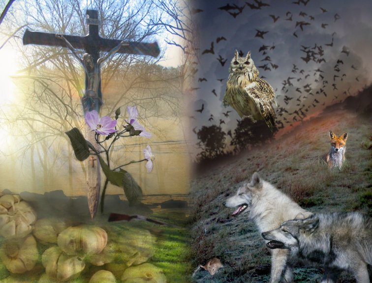 Good Vs Evil By Tm Gemini On Deviantart Good Vs Evil By Tm Gemini On Deviantart