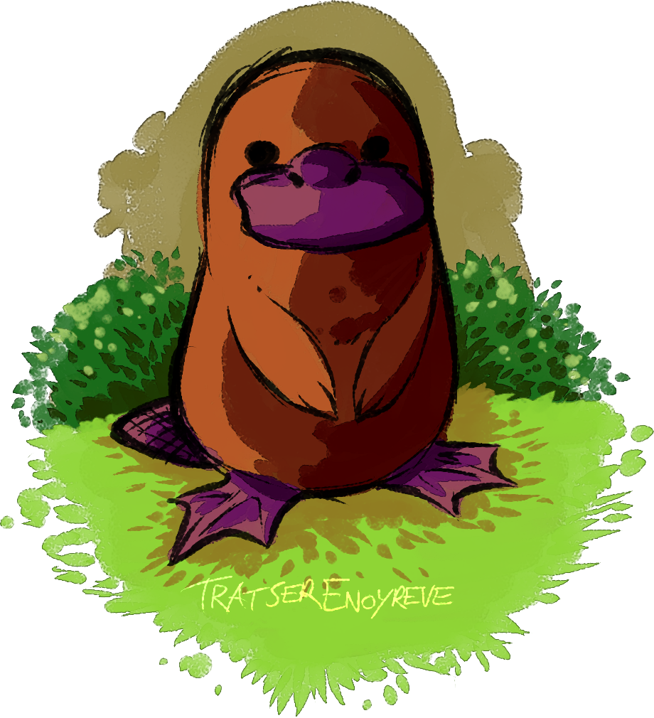 Platypus Doodle