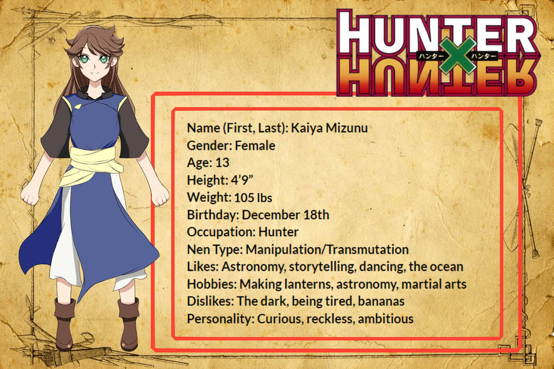 hxh has my soul — The signs as hunter x hunter characters