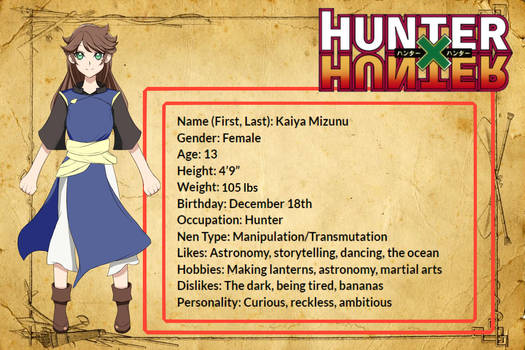 Hunter X Hunter: Main Characters' Ages, Birthdays, Heights