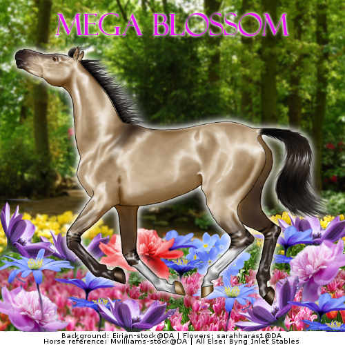 Mega Blossom