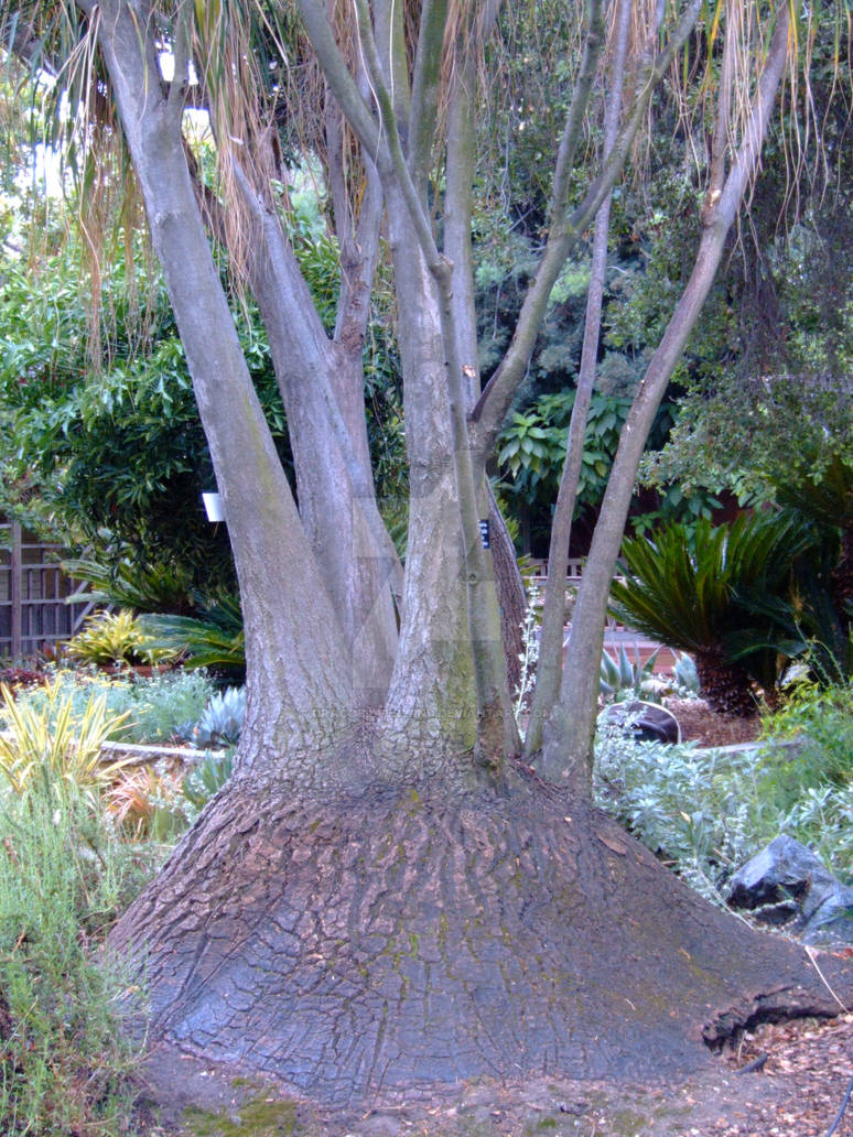 Multi Tree by Dracosilverwind on DeviantArt