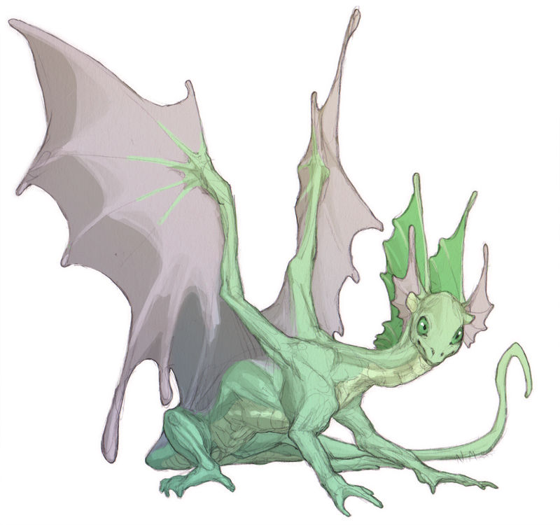 Flight Rising by tashcrow on DeviantArt