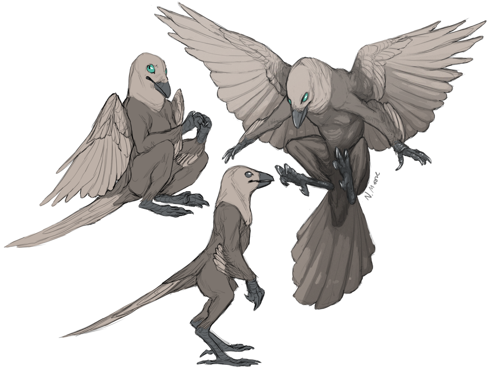 Anamorphic Crow Anthro Crows by tashcrow on DeviantArt