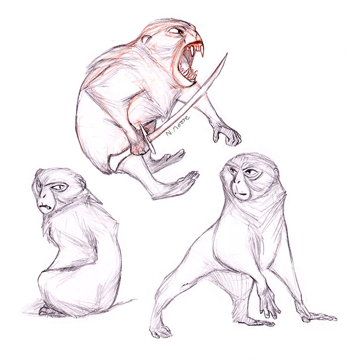Monkey by tashcrow on DeviantArt