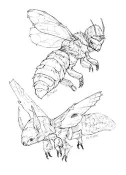 Insect Dragons