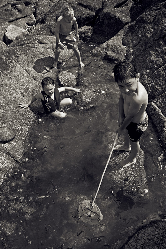 The shrimp fishermen