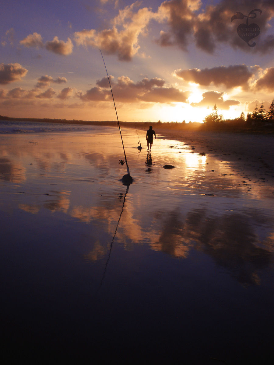 Mesmerized Reflection