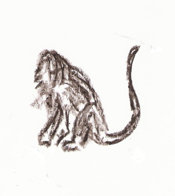 Deviantart 2007 Monkey Monkey by Frattaglia on DeviantArt