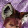 Red Fox Ears