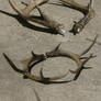 Fake Replica Antlers