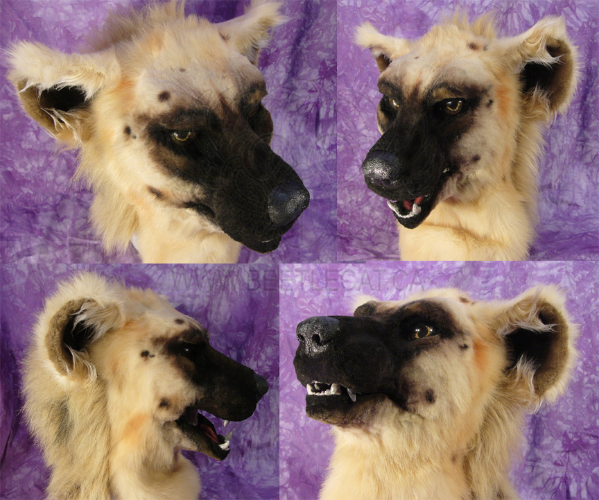 Hyena Head