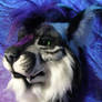 Purple and Blue and Beetlecats