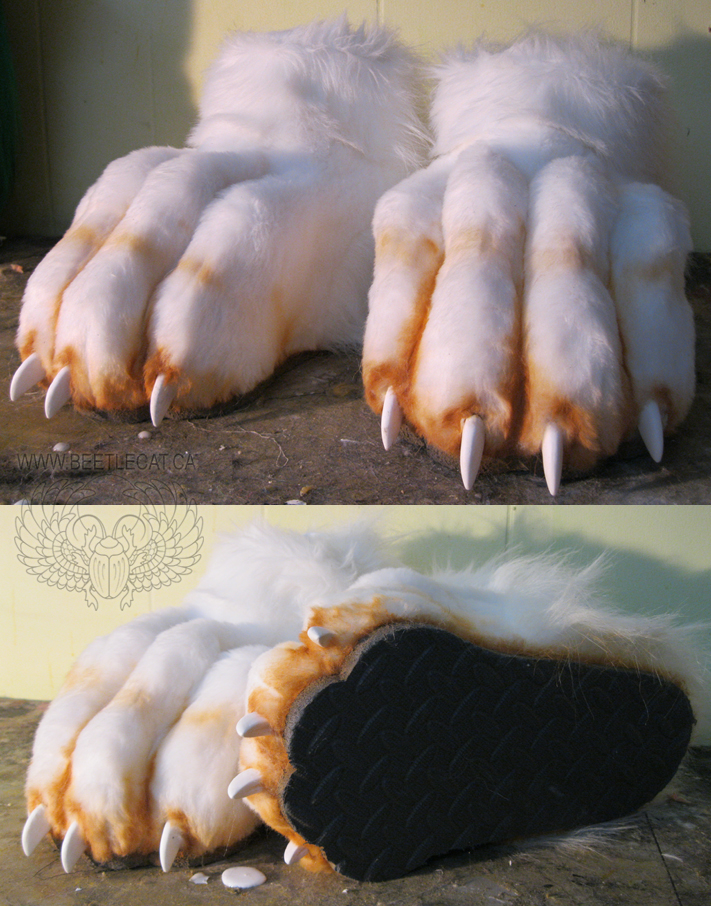 More Feet Paws