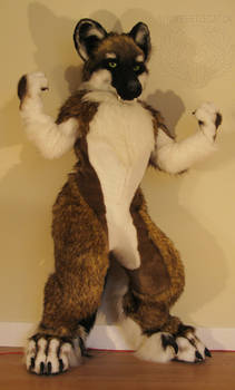 Dhole Fursuit Costume Full