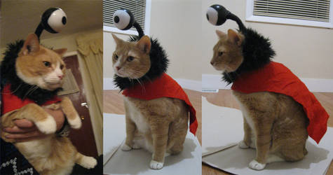 Nibbler Futurama Costume