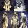 Snow Leopard Fursuit Full Turnaround