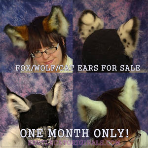 Fox and Kitty Ears for Sale