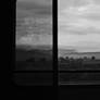 Untitled Landscape