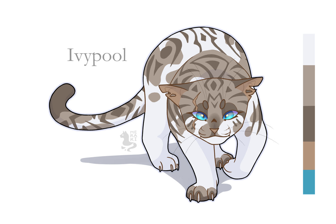 Ivypool Design Ivypool design by Merrraki on DeviantArt