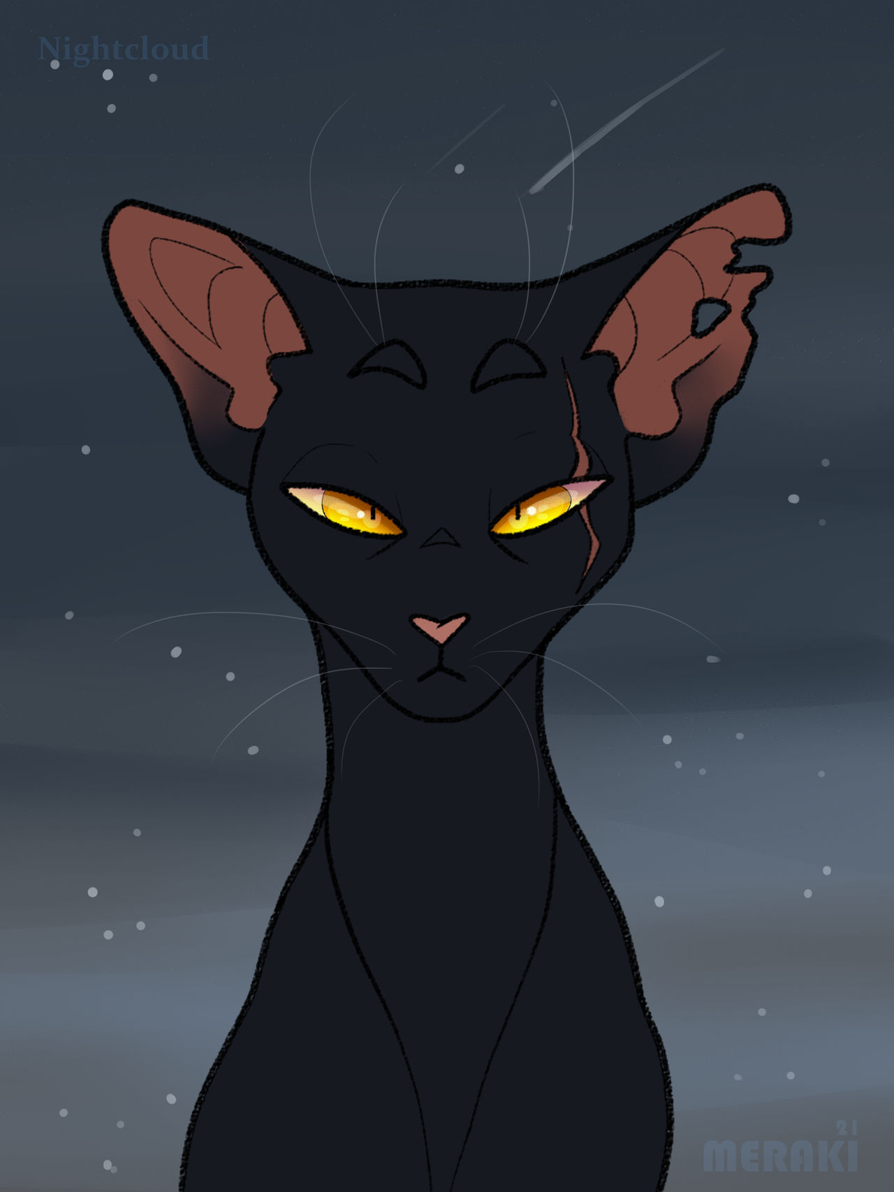 Bullfrog Nightcloud N - Nightcloud (Warrior Cats) by Merrraki on DeviantArt