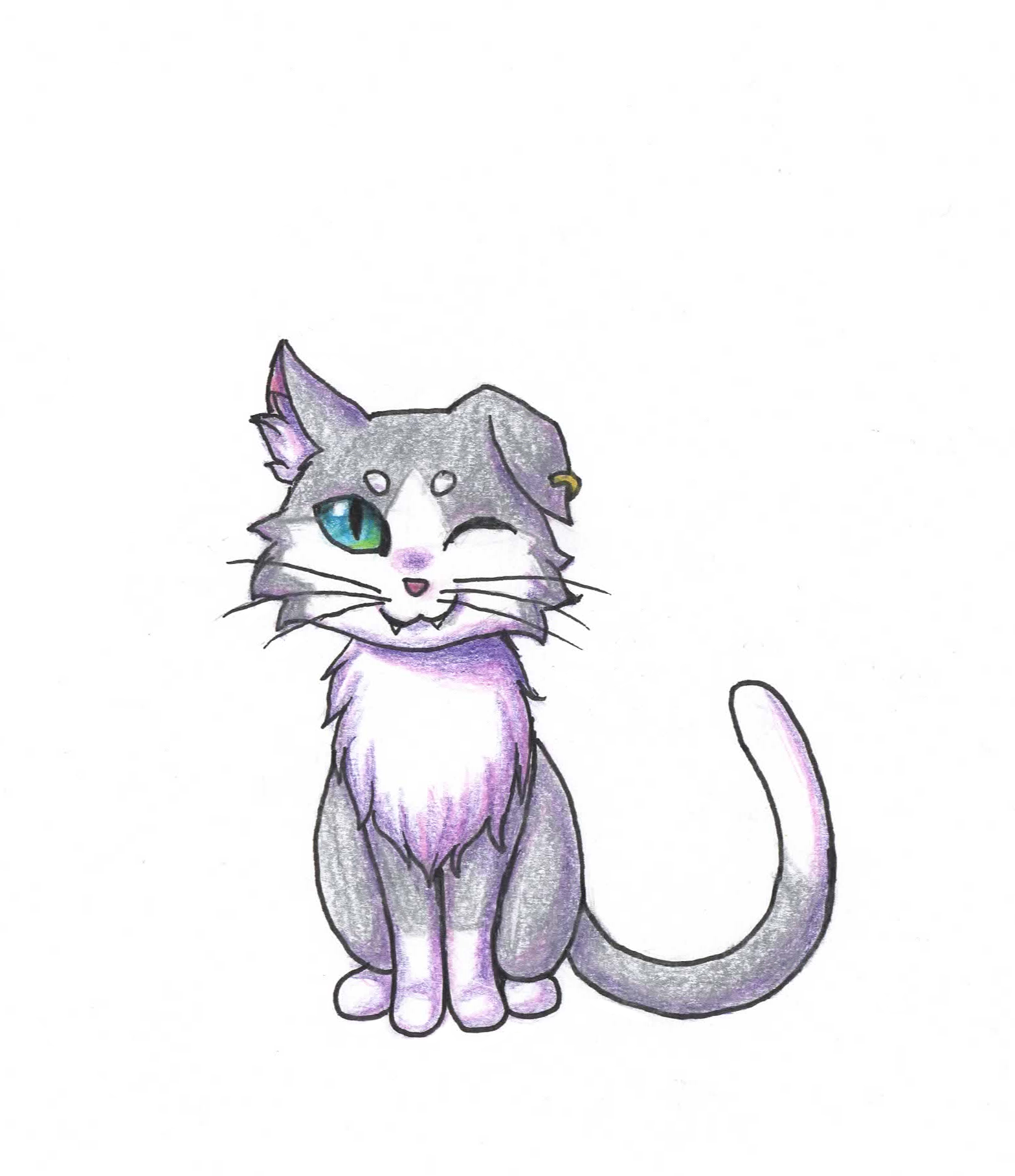 The cutest anime cat by Karren-san on DeviantArt