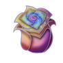 Rainbow Rose