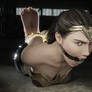 Wonder Woman Hogtied