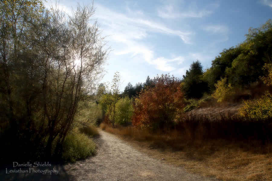 Path to Autumn