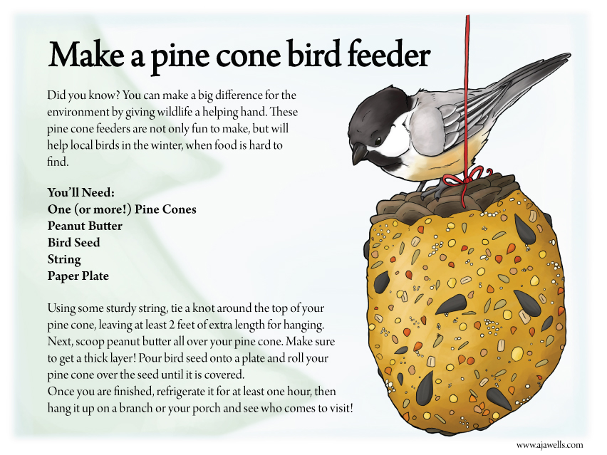 Make a Pine Cone Bird Feeder