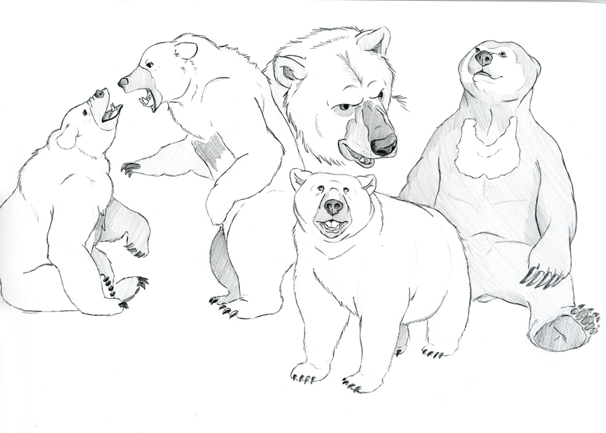 Grizzley Studies 2