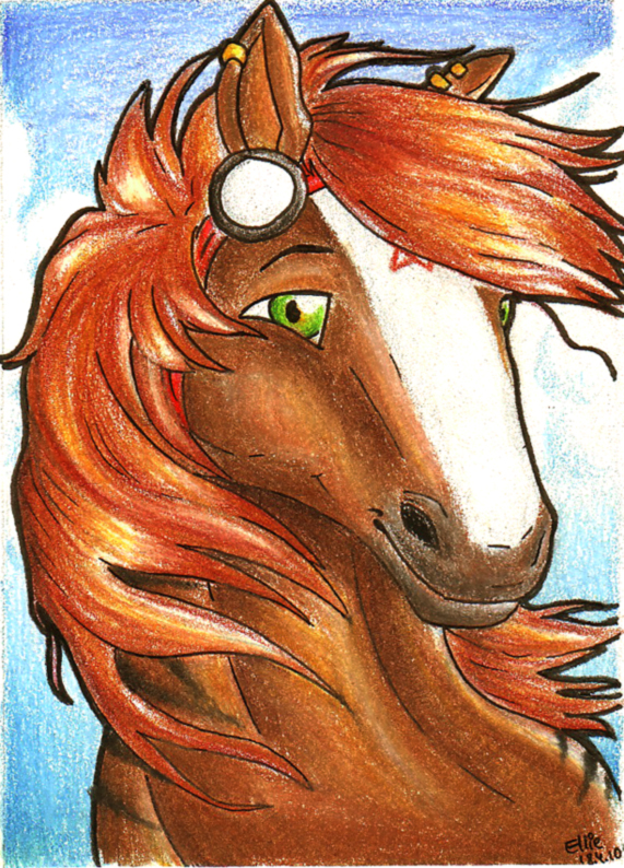 ACEO Noblestallion