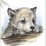 Wolf Cub