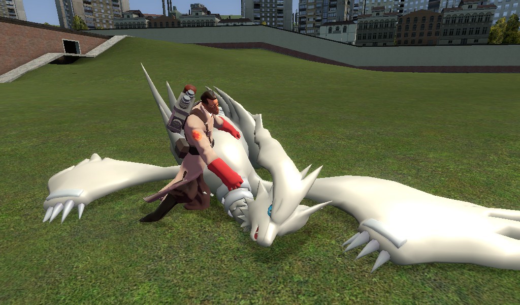 Medic helps Reshiram