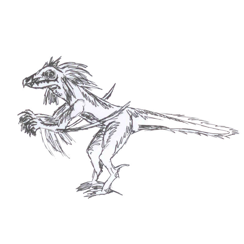 Skinny Raptor Drawing Raptor Sketch by dbodine on DeviantArt