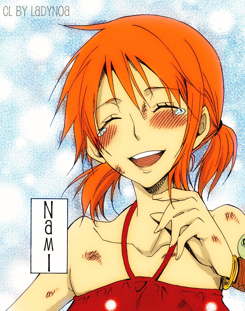 One Piece: Nami Swan