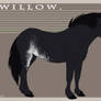 Willow 2011