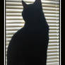 Silhouette Cat