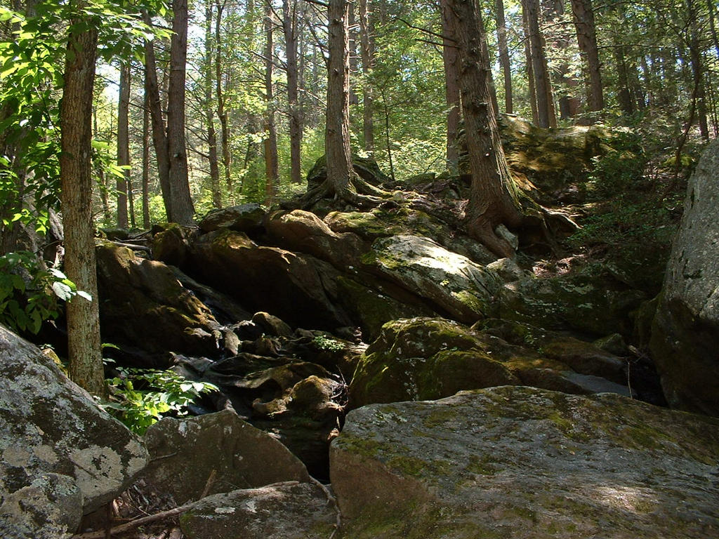 Across The Rocks Across the rocks by tango793 on DeviantArt
