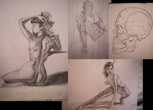 Various Studies