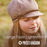 Free Orange Fade Lightroom Preset