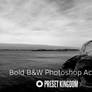 Free Bold Black and White Photoshop Action